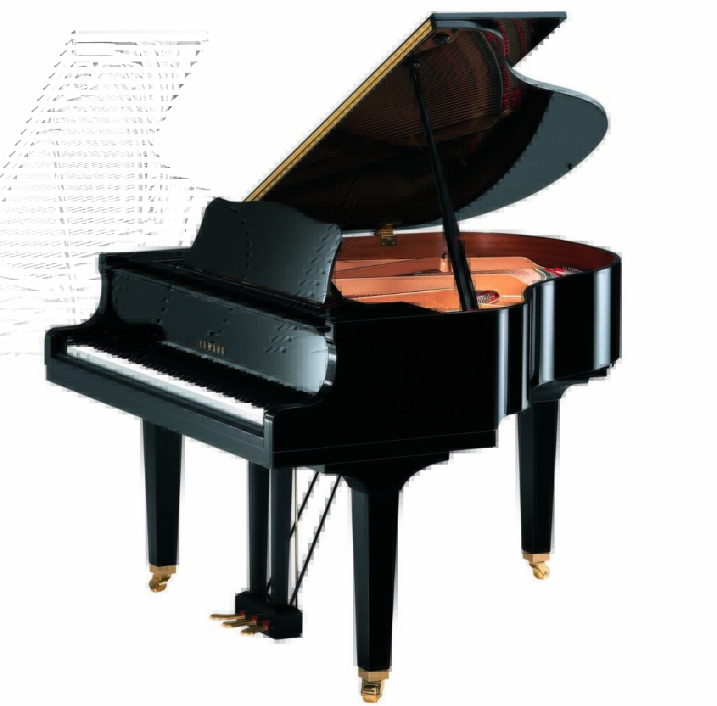 Yamaha GB1