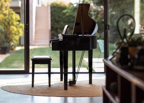 Kawai DG30