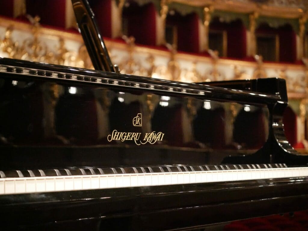 Shigeru Kawai SK-EX Keys