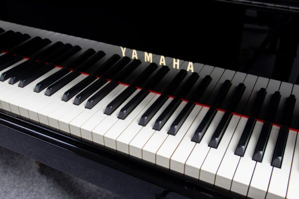 Yamaha C6 Keys