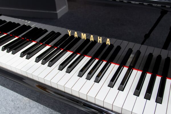 Yamaha C2 Keys