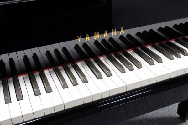 Yamaha C1 Grand Keys