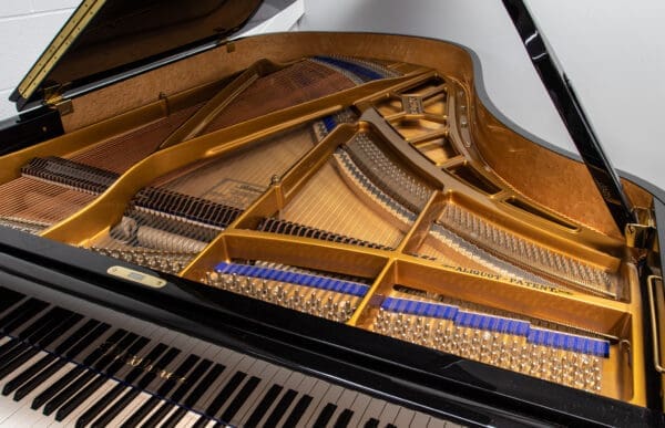 Blüthner Model 6 Grand, 2004 - Image 5