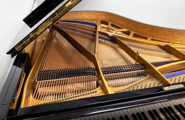 Blüthner Model 6 Grand, 2004 - Image 6