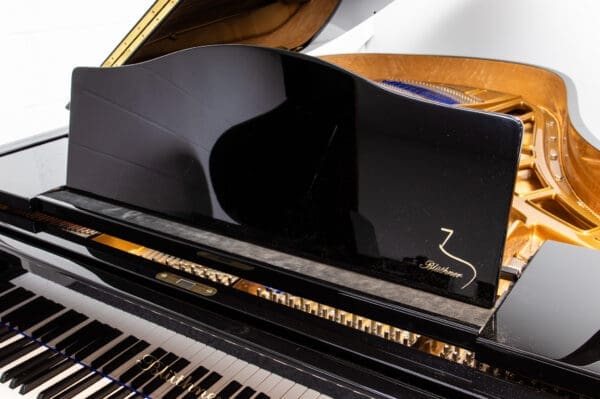 Blüthner Model 6 Grand, 2004 - Image 3