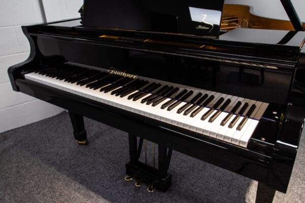 Blüthner Model 6 Grand, 2004 - Image 2