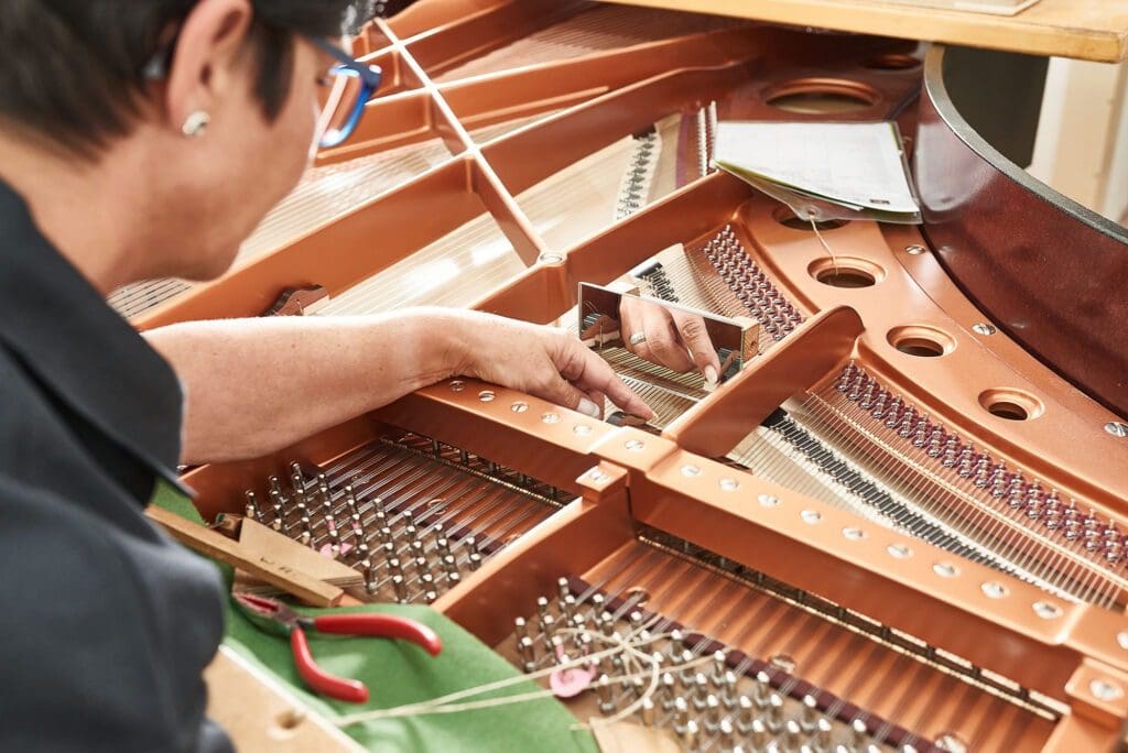 Bosendorfer Independent Capo d’Astro