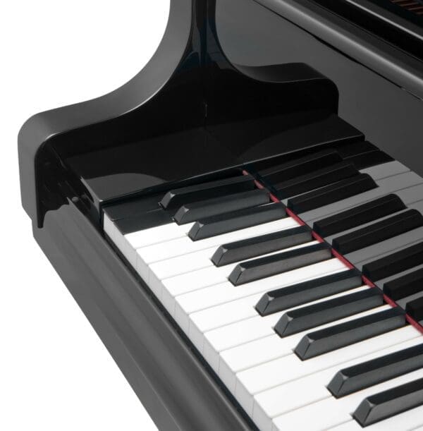 Bösendorfer 225 Extra Bass Keys