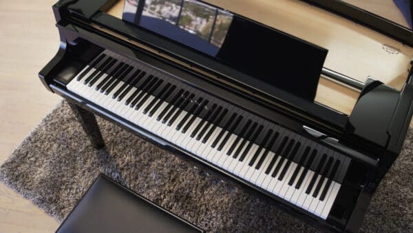 Kawai NV12