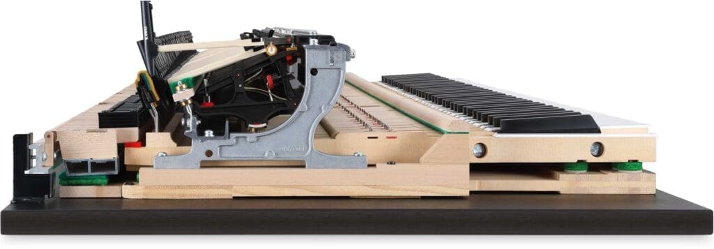 NV12. Kawai Millennium III Action. 